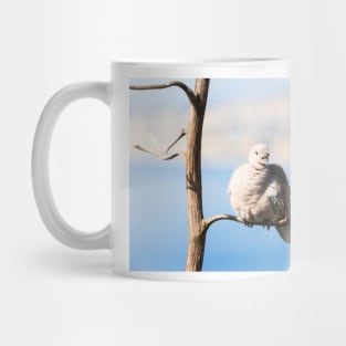 Eurasian Collared Dove Mug